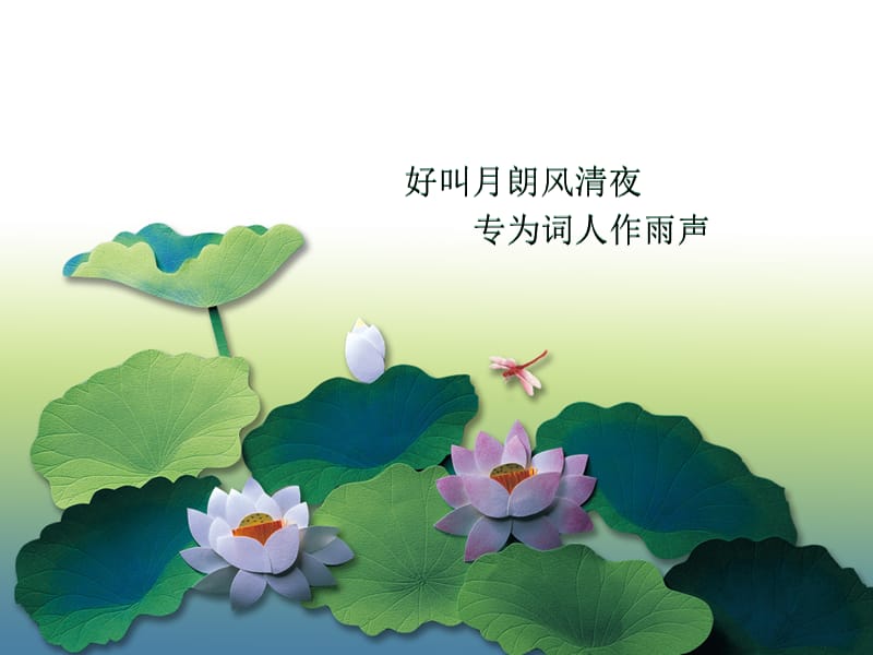 荷花ppt课件.ppt_第1页