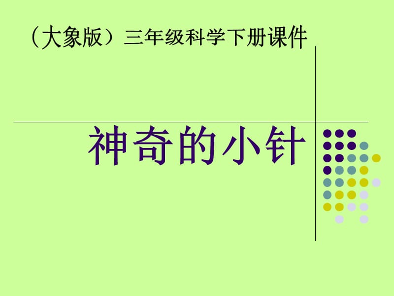 神奇的小针.ppt_第1页