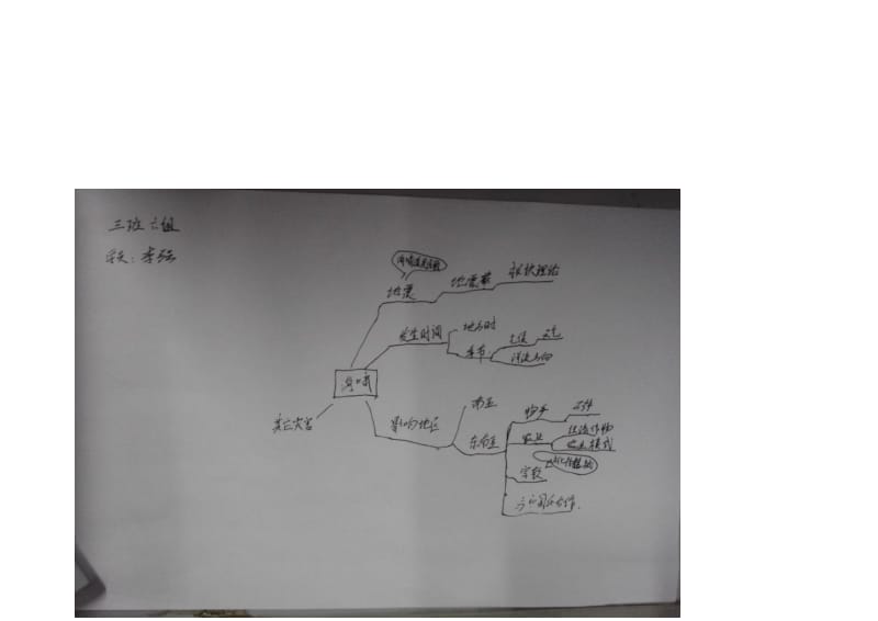 李强思维导图.docx_第1页