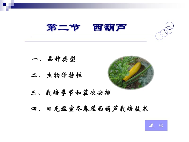 蔬菜学第二节　西葫芦.ppt_第1页