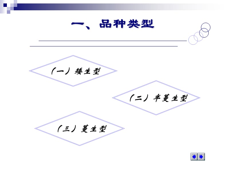 蔬菜学第二节　西葫芦.ppt_第2页