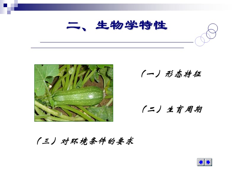 蔬菜学第二节　西葫芦.ppt_第3页