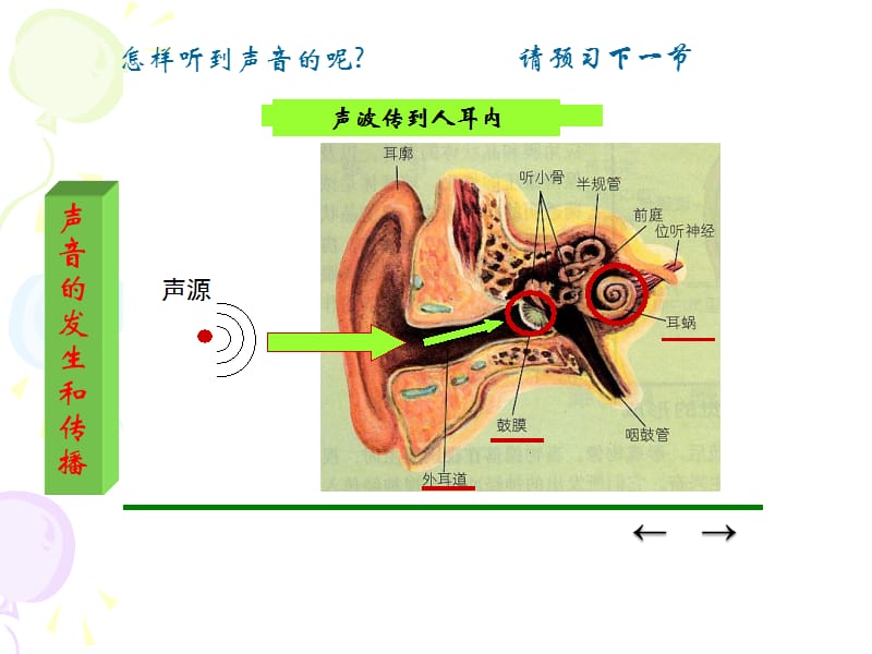 耳的结构与听觉的形成(第一课时).ppt_第1页