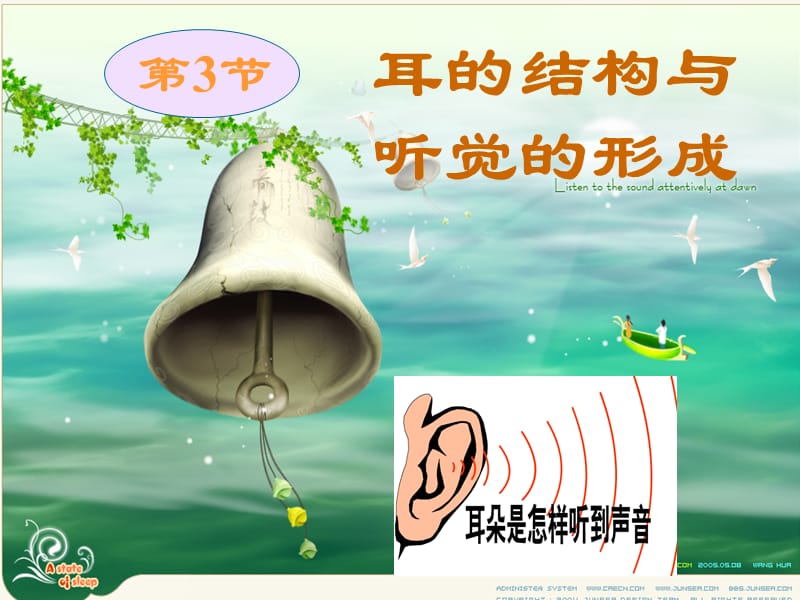 耳的结构与听觉的形成(第一课时).ppt_第2页