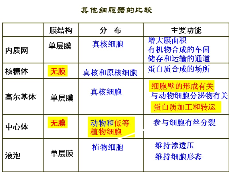 相同点功能结构分布不同点叶绿体线粒体比较.ppt_第2页