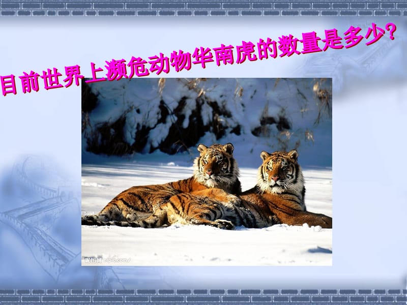 网上资源检索课件.ppt_第1页