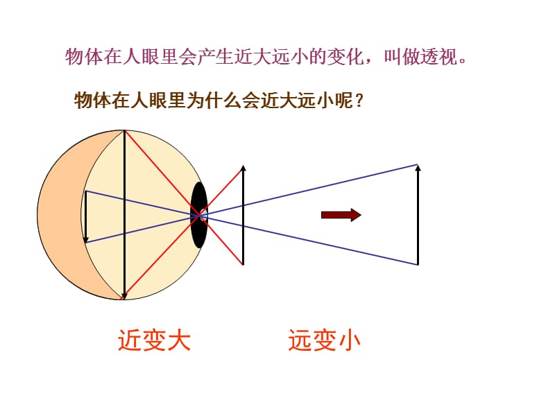 绘画的骨架课件.ppt_第3页