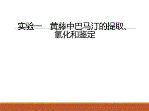 黄藤中巴马汀的提取 氢化和鉴定.ppt