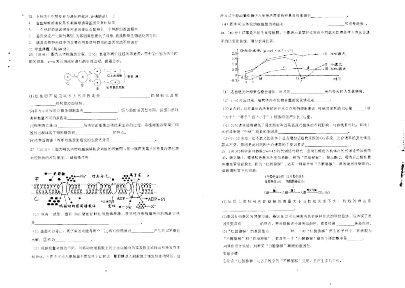 河南省息县第一高级中学2019届高三第八次周考生物试卷PDF版含答案.docx_第3页