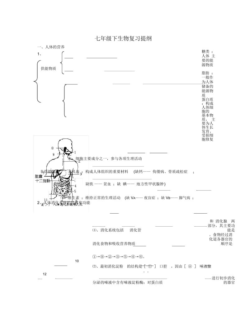 七年级下生物复习提纲.docx_第1页