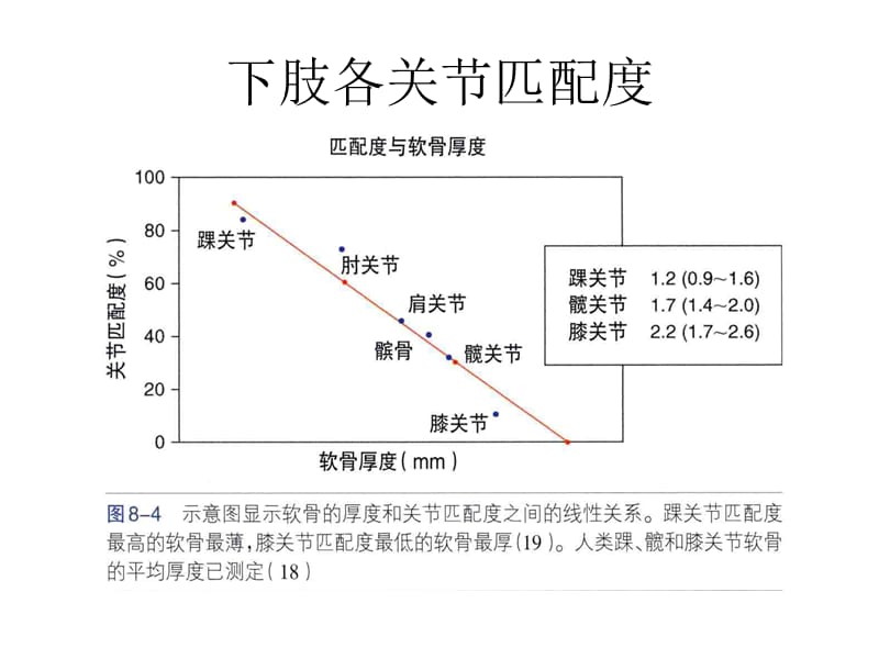 踝关节损伤诊断.ppt_第2页