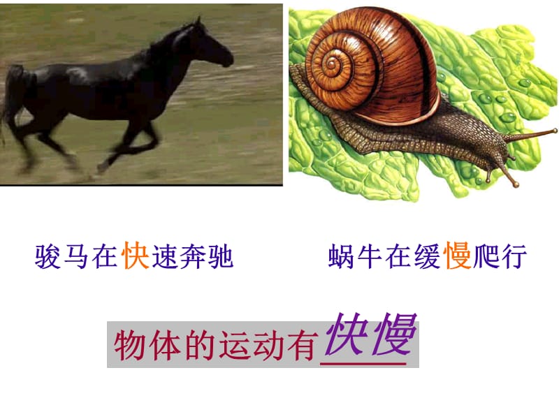 沪科版物理第二章第三节：快与慢.ppt_第2页