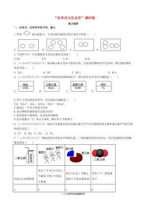 九年级化学上册 第四单元 自然界的水 课题4 化学式与化合价（能力进阶+真题汇编）课时练 新人教版.doc