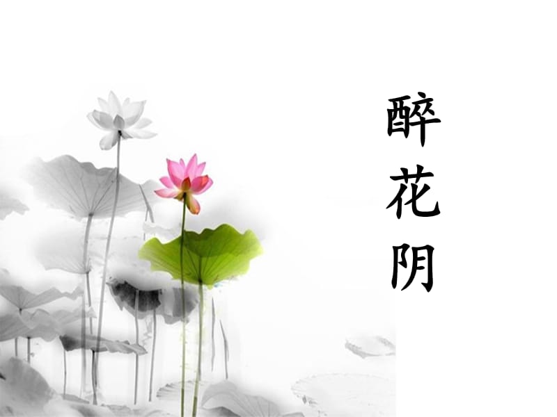 醉花阴李清照张超.ppt_第1页