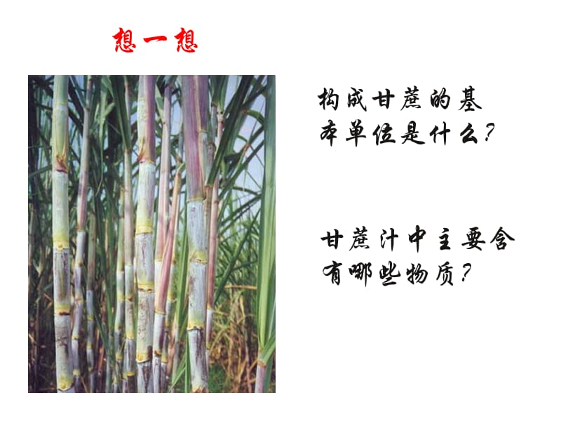 41物质的构成.ppt_第2页