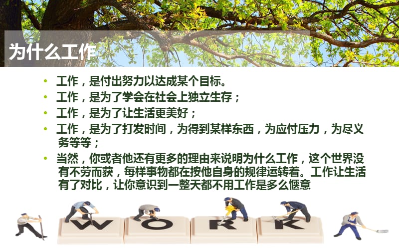 工作心得分享.ppt_第2页