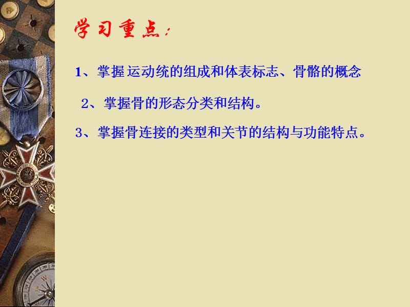 骨和骨连接概述.ppt_第2页