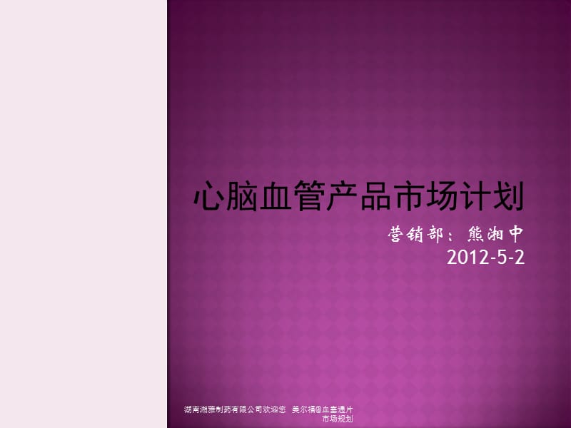 血塞通市场计划.ppt_第1页