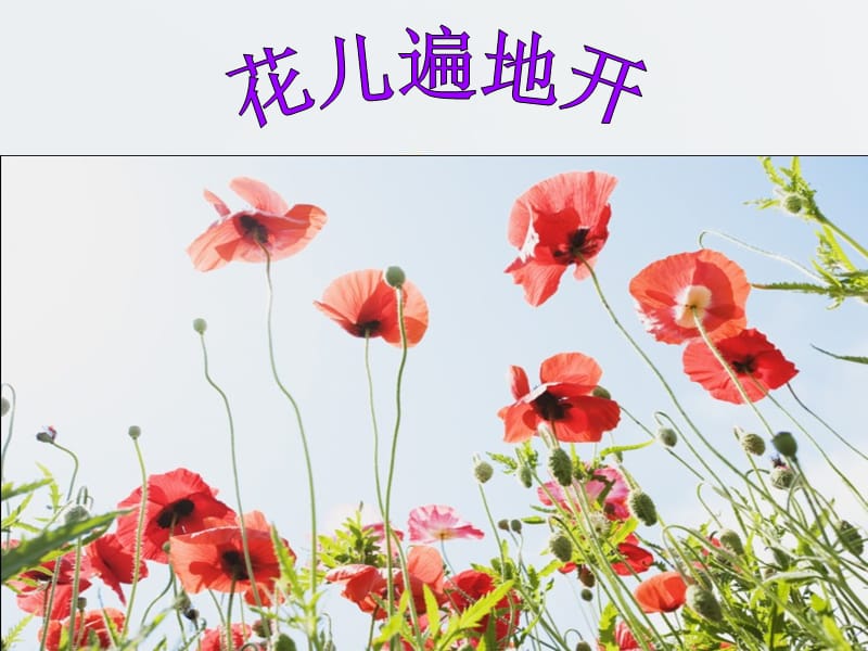 作品欣赏《花儿遍地开》.ppt_第1页