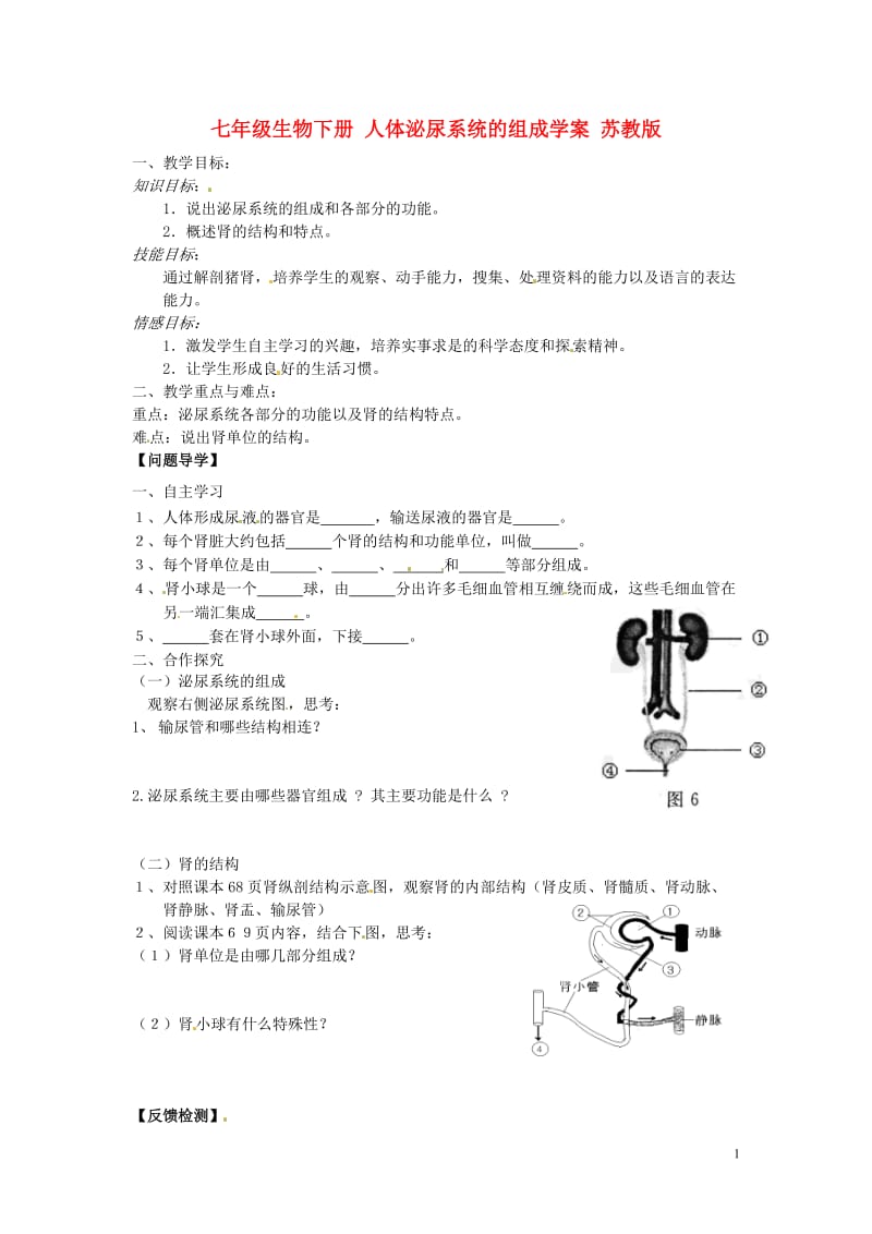 七年级生物下册-人体泌尿系统的组成学案(无答案)-苏教版.doc_第1页