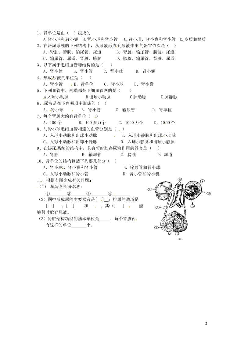 七年级生物下册-人体泌尿系统的组成学案(无答案)-苏教版.doc_第2页