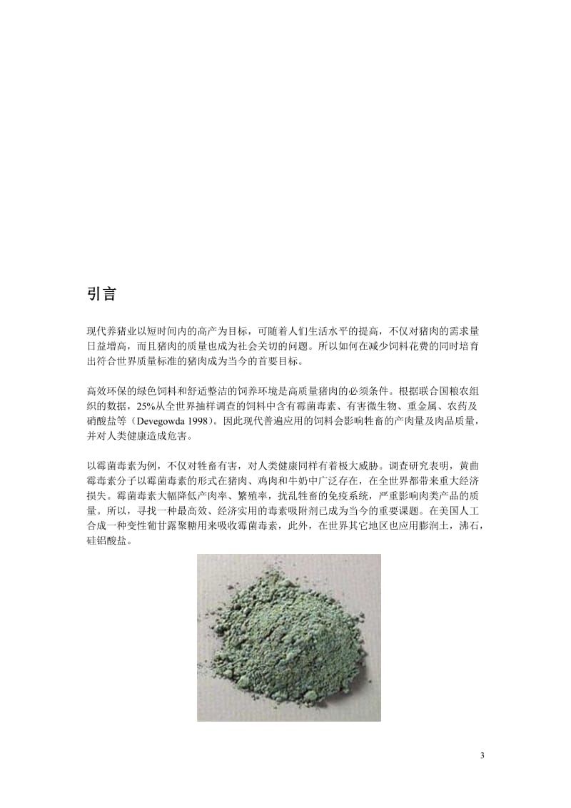 海绿石 - 商业计划书.doc_第3页