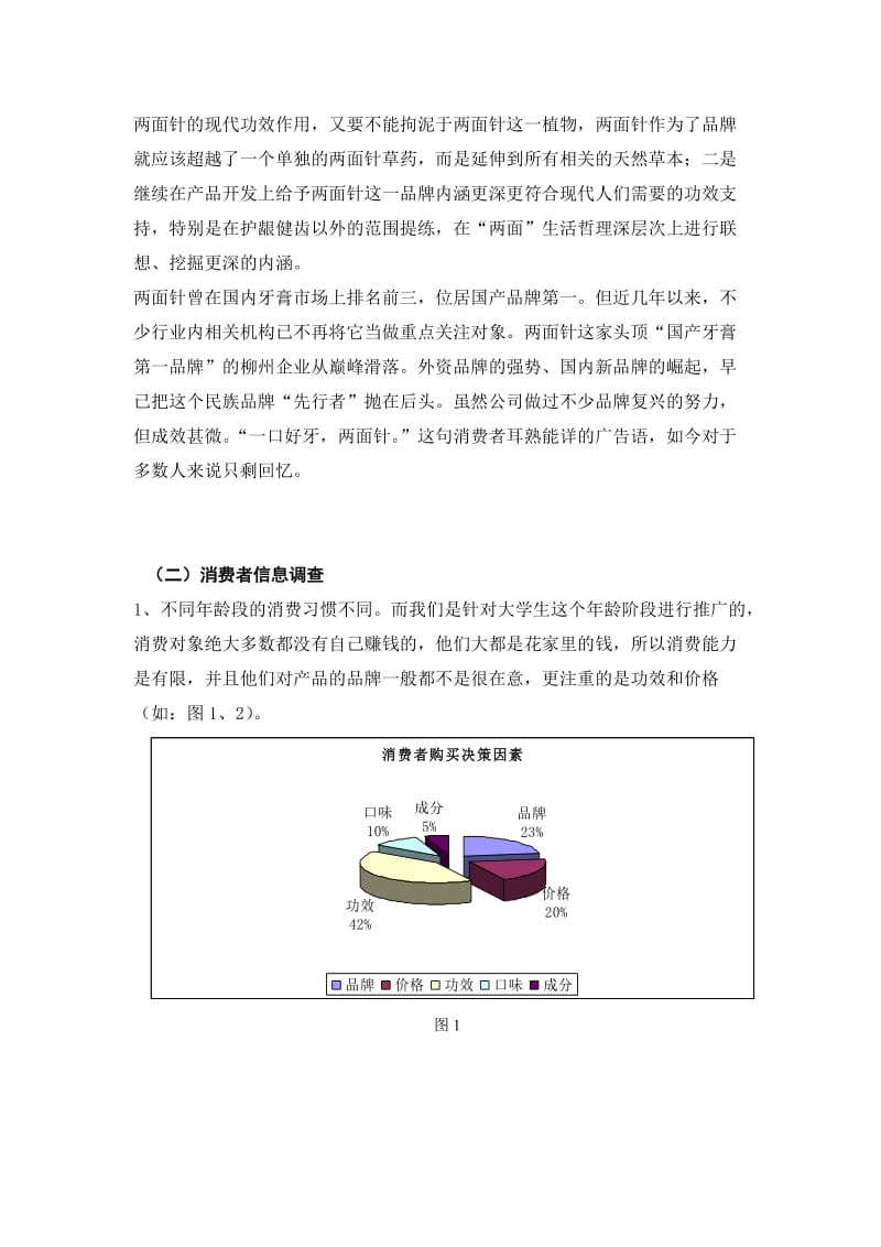 牙膏广告策划书.doc_第3页