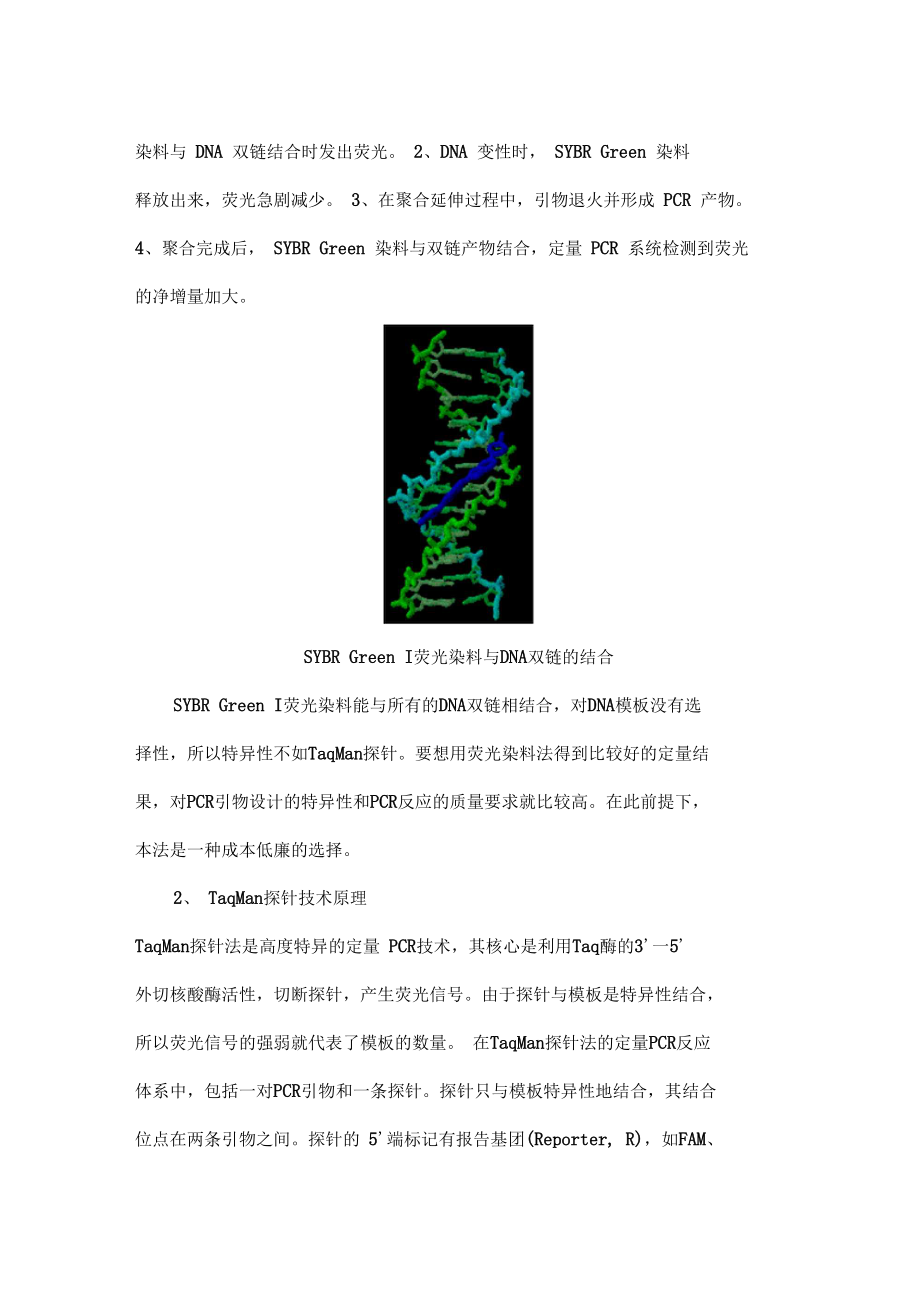 荧光定量PCR的原理及使用.doc_第2页