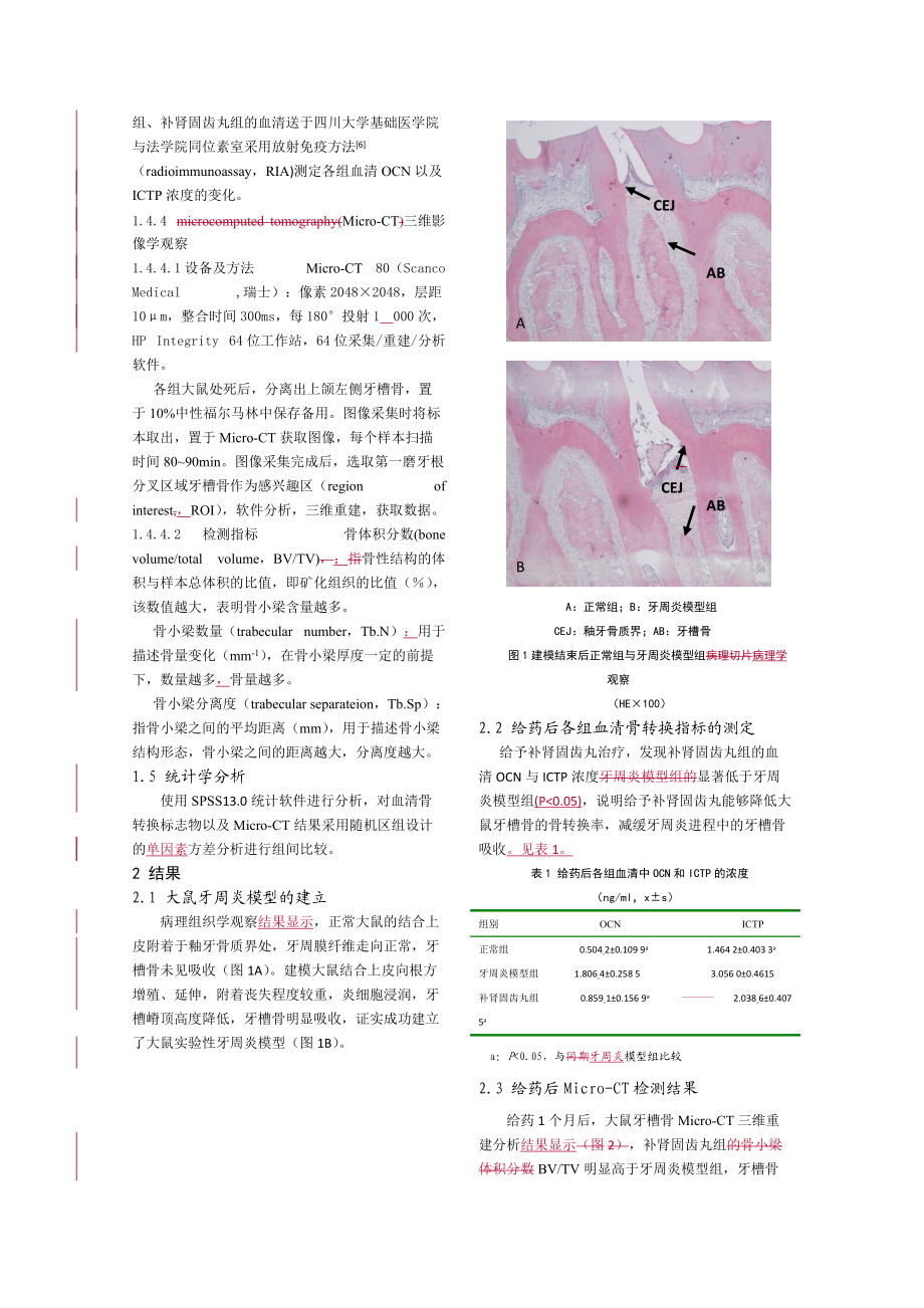 补肾固齿丸对大鼠实验性牙周炎牙槽骨重建的影响.doc_第3页