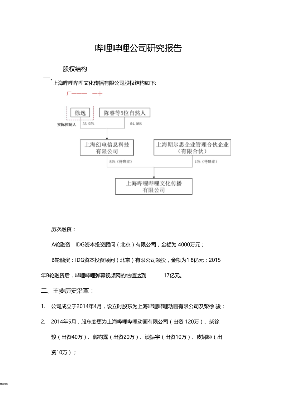 哔哩哔哩弹幕网模式研究报告.doc_第1页