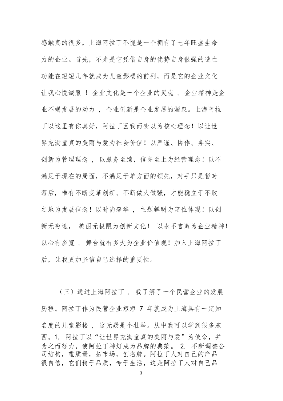 在摄影有限公司实习报告.doc_第3页