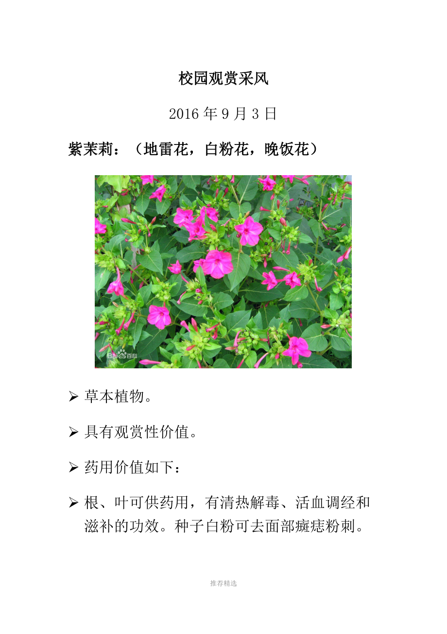 常见植物介绍.docx_第1页