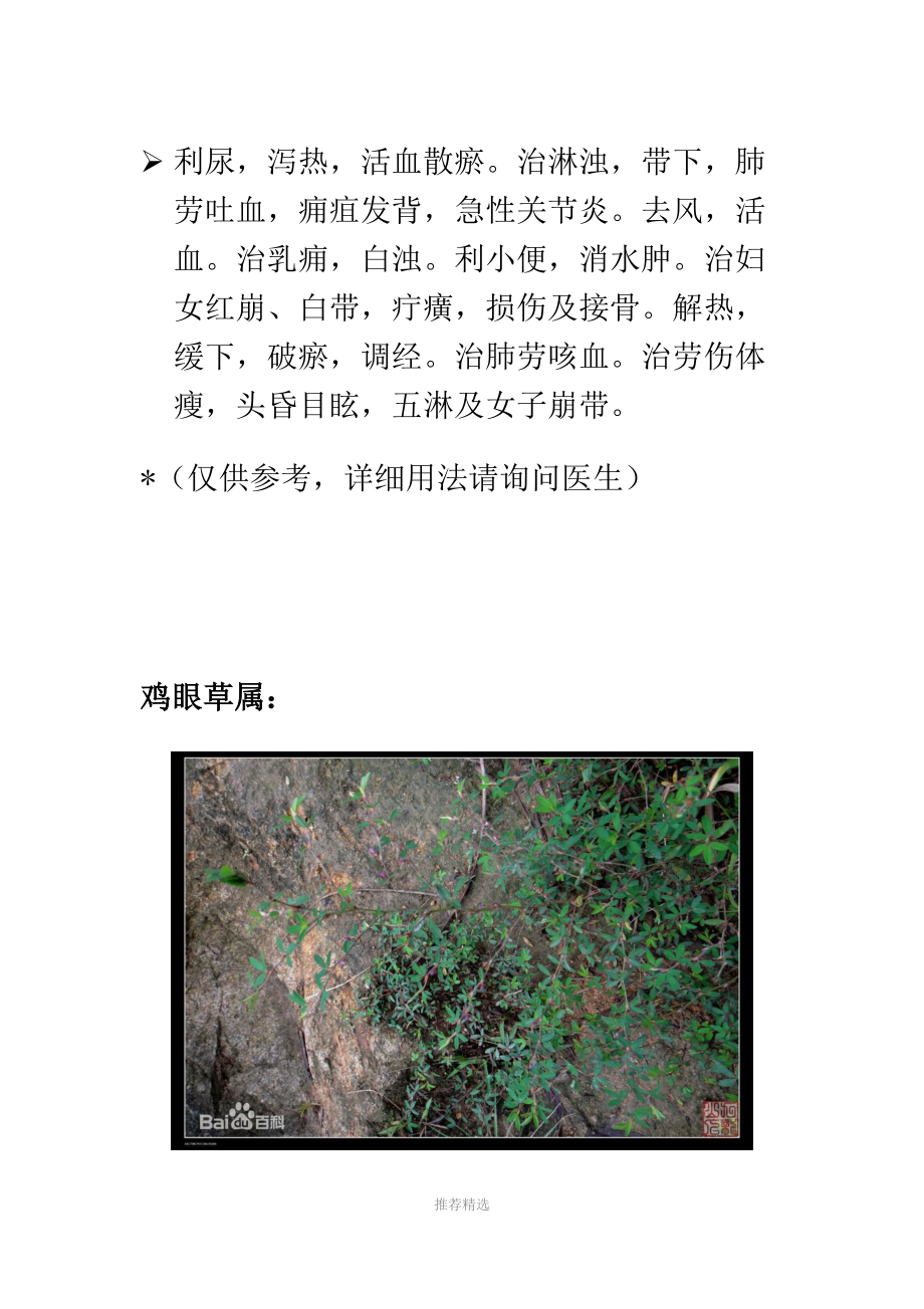 常见植物介绍.docx_第2页