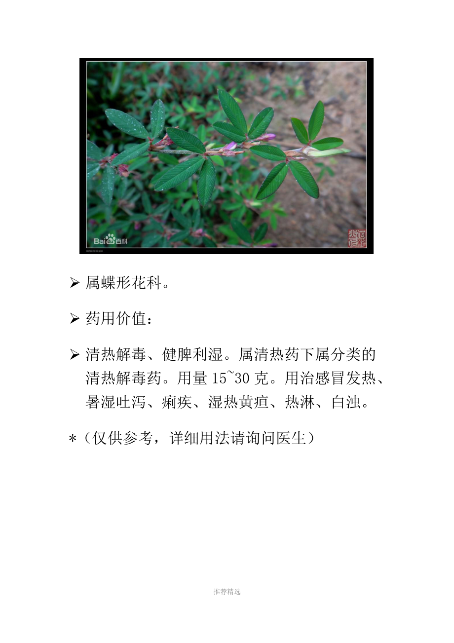 常见植物介绍.docx_第3页