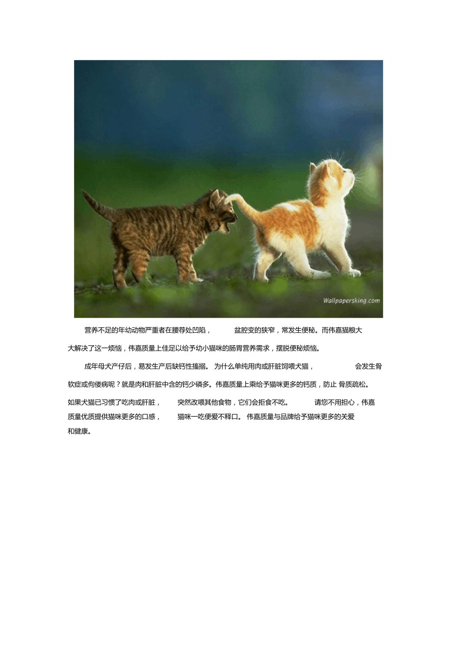 大量肉和肝脏饲喂猫有害,伟嘉质量上乘让爱宠人士无后顾之忧.doc_第2页