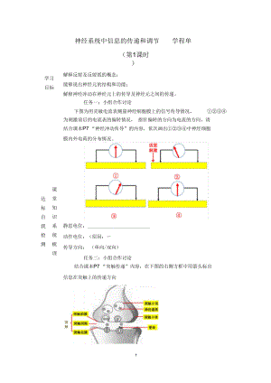 信息在神经系统中的传递.docx