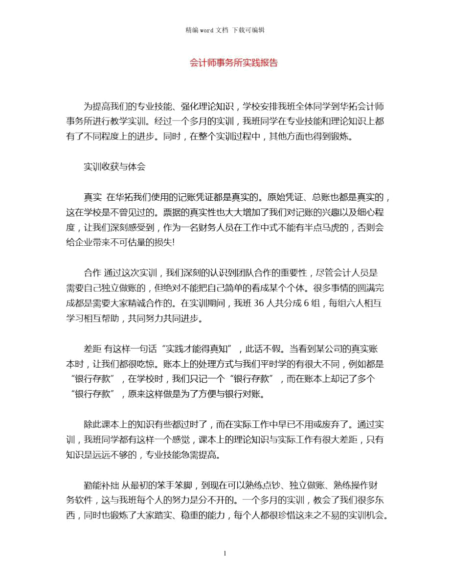 2021年会计师事务所实践报告word版.doc_第1页