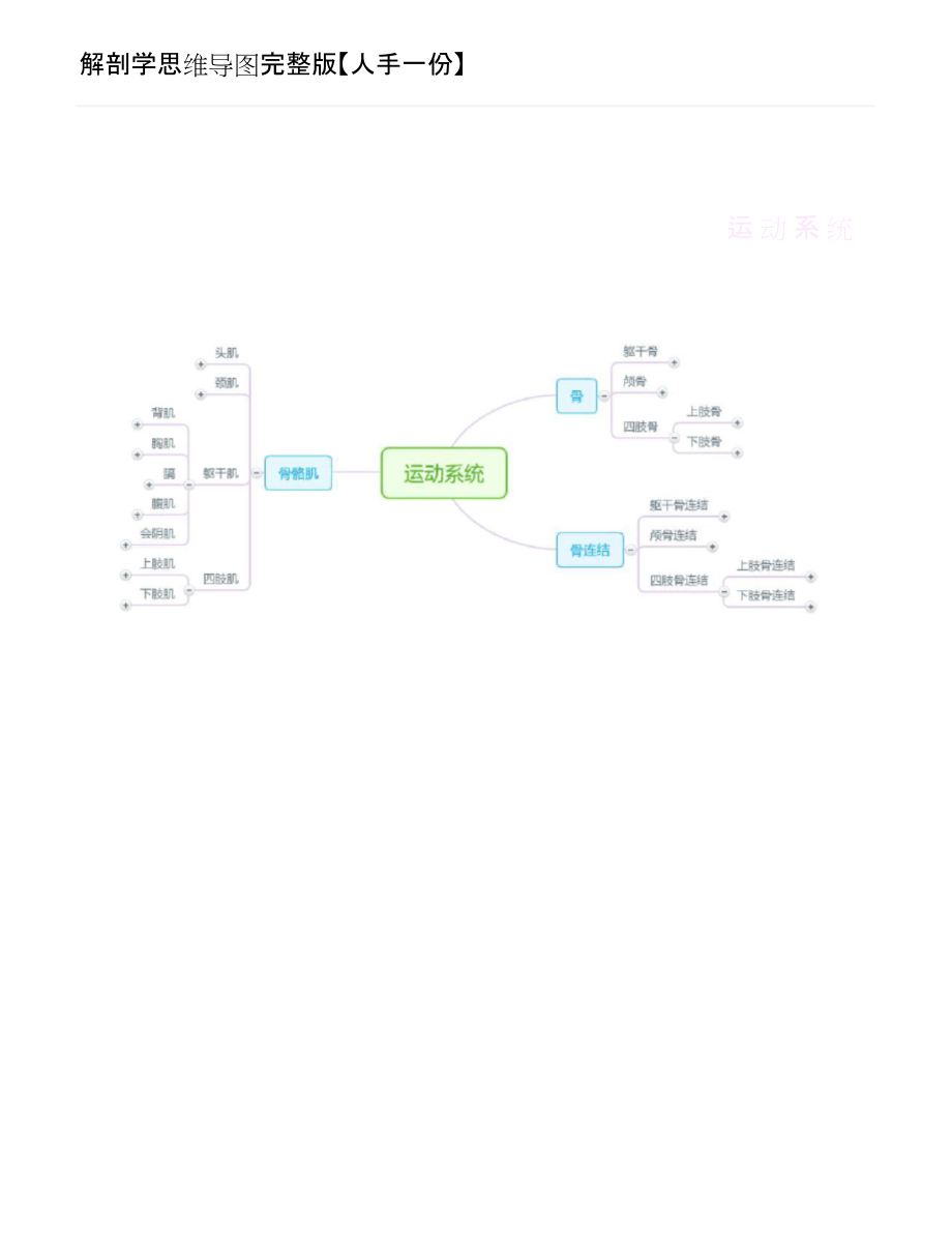 解剖学思维导图完整版【人手一份】.doc_第1页