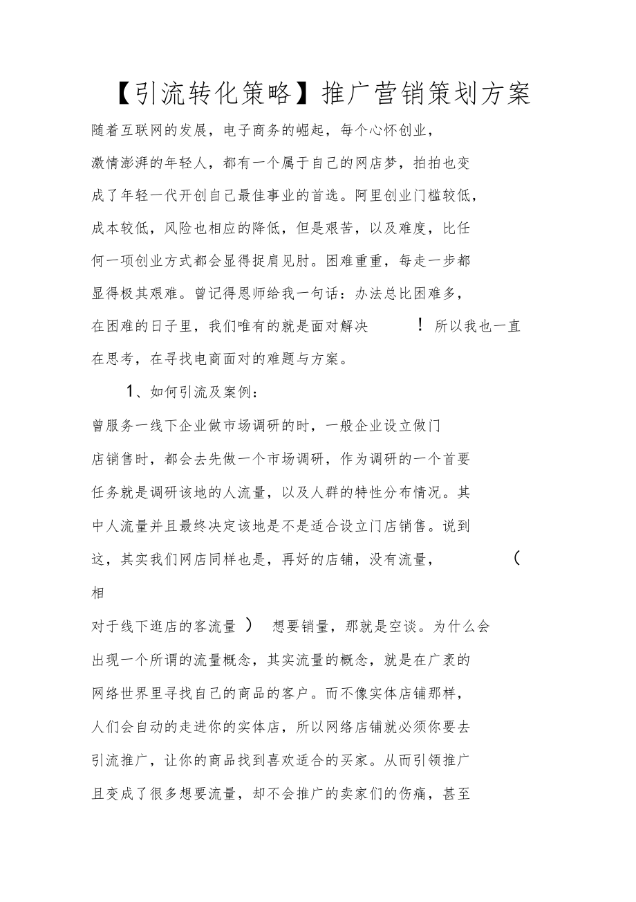 引流转化策略推广营销策划方案.doc_第1页