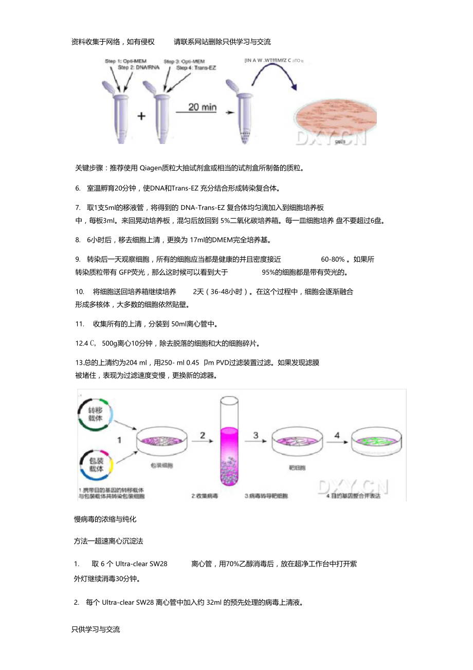 慢病毒包装浓缩纯化滴度试验步骤.doc_第3页