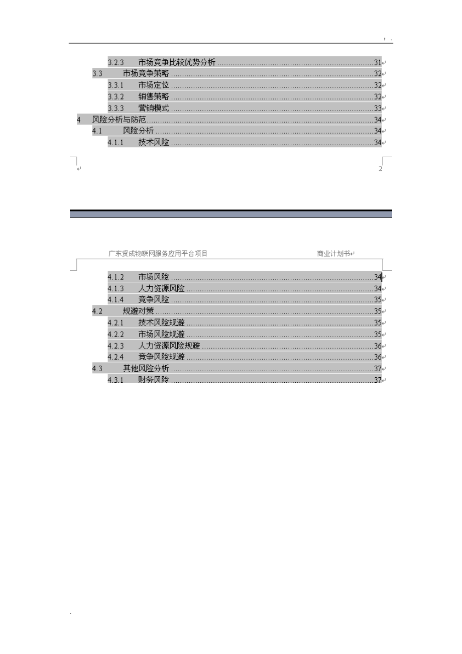 物联网项目商业计划书案例.docx_第3页