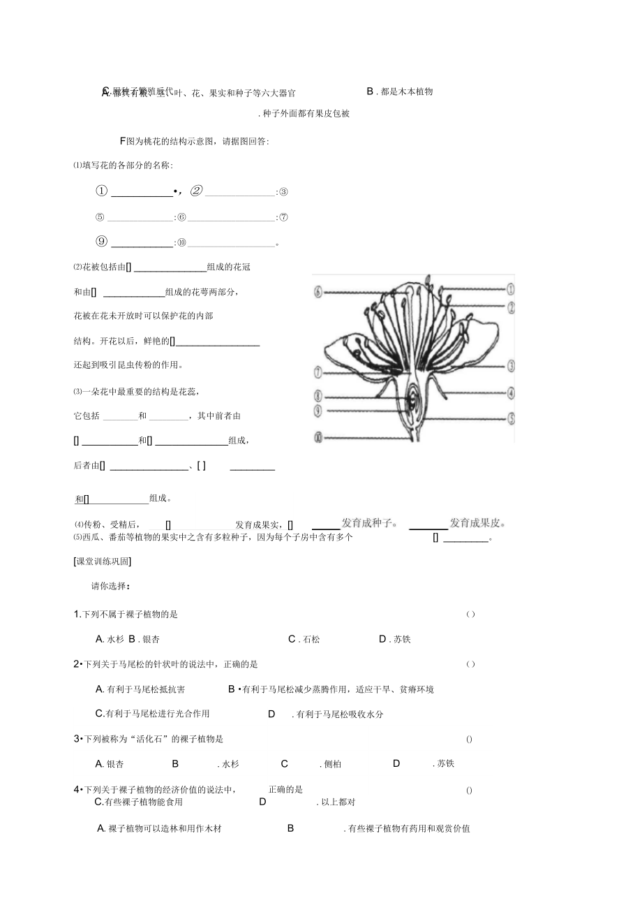 江苏省铜山区七年级生物下册11.1地面上的植物导学案1(无答案)(新版)苏科版.docx_第2页