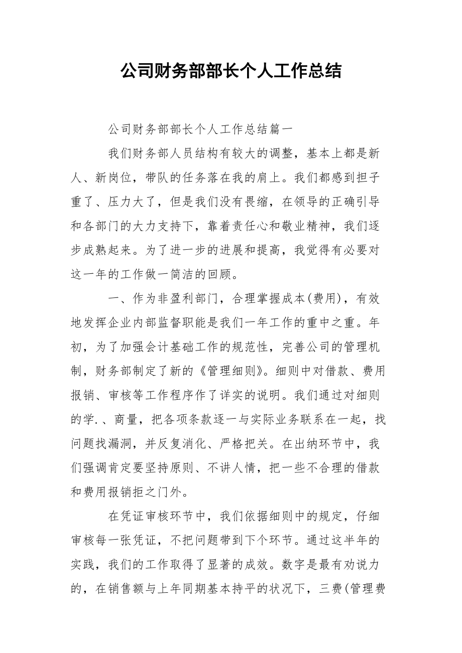 202_年公司财务部部长个人工作总结.docx_第1页