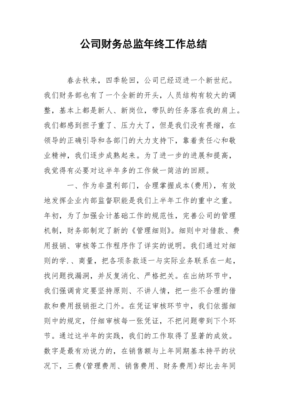 202_年公司财务总监年终工作总结.docx_第1页