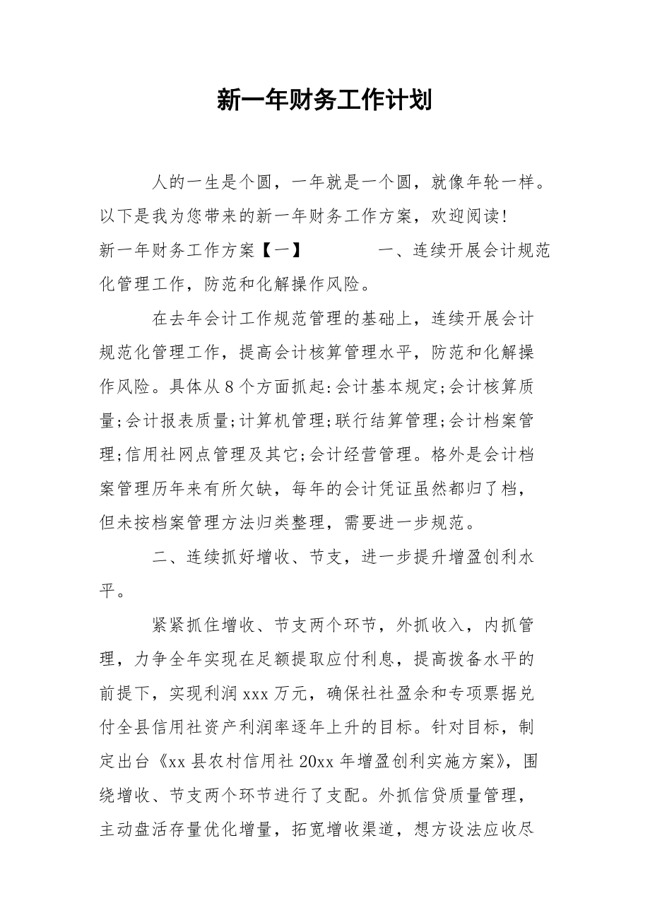 新一年财务工作计划.docx_第1页