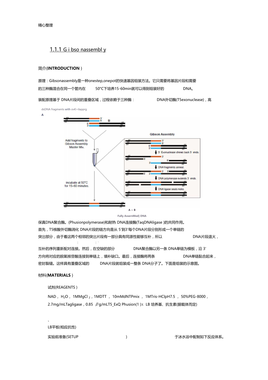 无缝克隆,同源重组克隆.doc_第1页