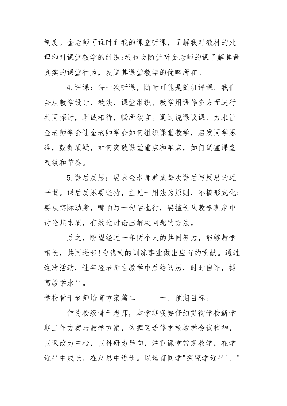 学校骨干教师培养计划.docx_第3页