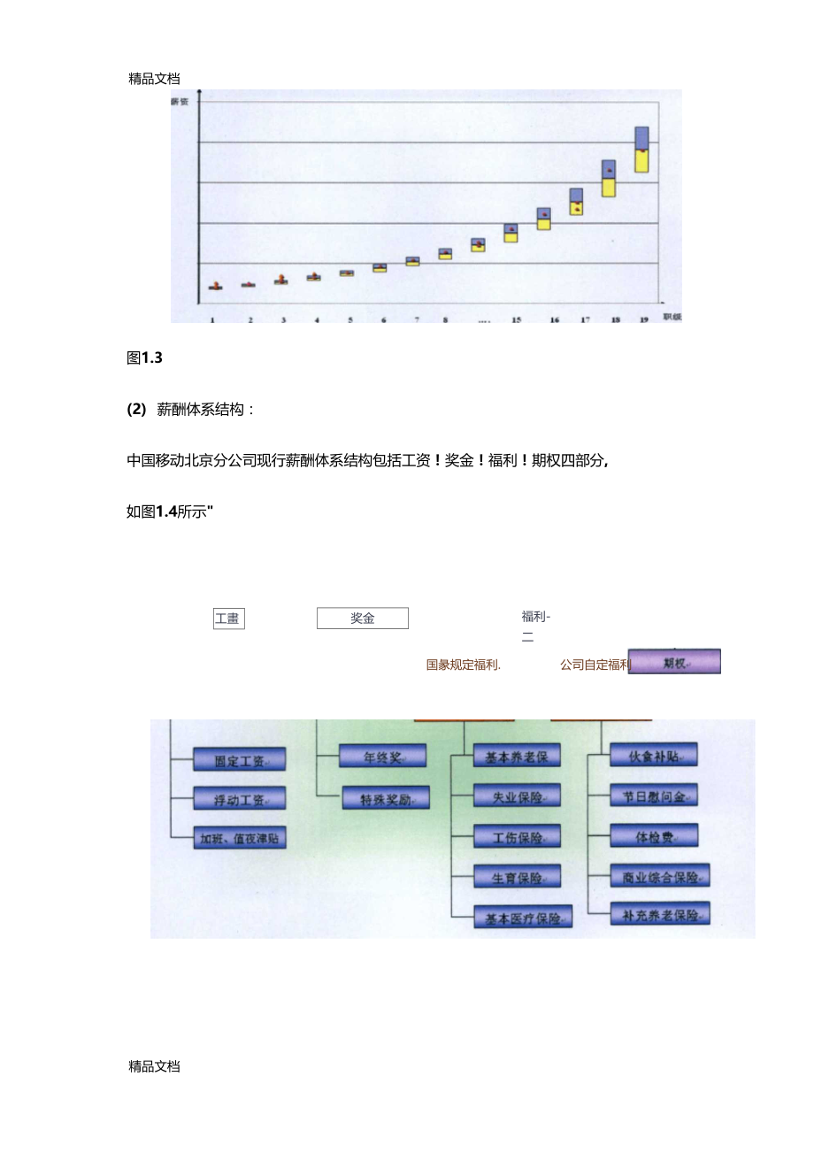 最新中国移动现行薪酬管理体系的评价资料.doc_第2页