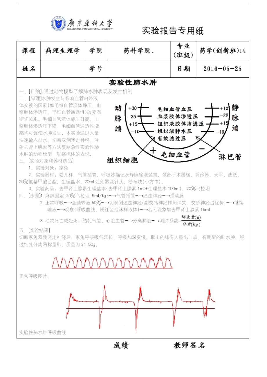 实验性肺水肿.doc_第1页