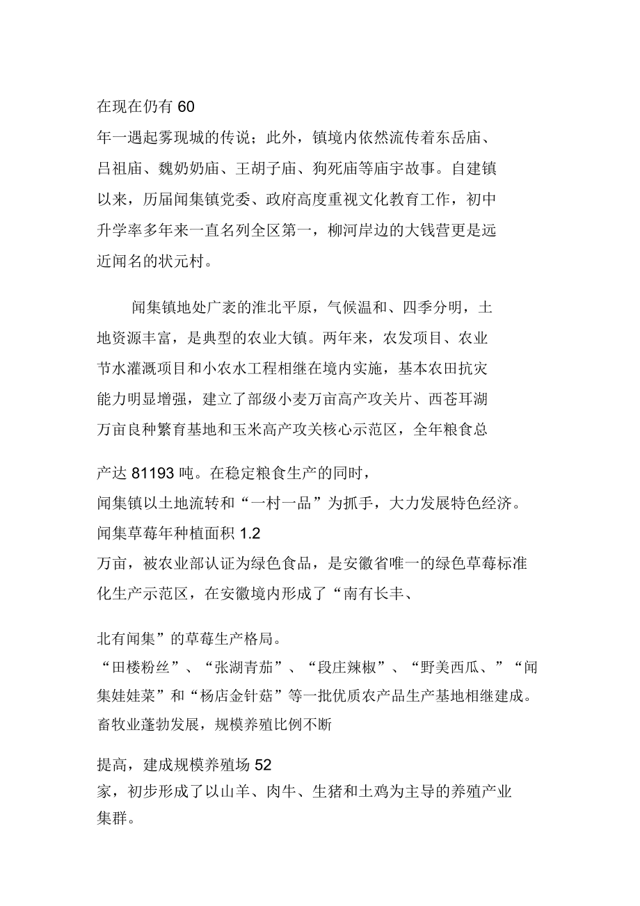 闻集镇简介.doc_第3页